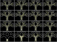 Particle convection and diffusion inside a tridimensional binary tree model of the human pulmonary acinus with membrane permeability 