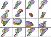 Rotation about X and Y axes of the Jeener bottle 