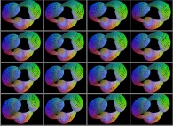 Rotation about the Y (vertical)axis of the Jeener's triple Klein bottle that can also be viewed as a set of 4x3 stereograms 
