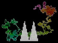 Bidimensional brownian motion with a gaussian-like (with two bells)distribution law regarding the radial coordinate 