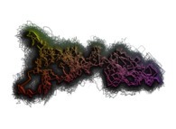 Tridimensional accumulation of 512 correlated bidimensional brownian motions -1000 time steps- 