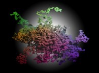 Tridimensional accumulation of 50 non correlated tridimensional brownian motions -50000 time steps- 