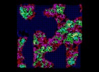 Homogeneous/heterogeneous meshing of a square 