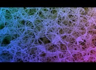 Causal set obtained by means of an homogeneous random meshing of a cube 