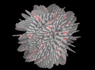 Tridimensional representation of a hexadimensional Calabi-Yau manifold 