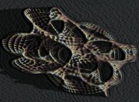 Artistic view of a quadridimensional Calabi-Yau manifold 