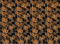 Rotation about the Y (vertical)axis of a tridimensional representation of quadridimensional Calabi-Yau manifolds that can also be viewed as a set of 4x3 stereograms -Calabi-Yau manifolds attached to every point of a fractal tridimensional space- 