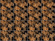 Rotation about the Y (vertical)axis of a tridimensional representation of quadridimensional Calabi-Yau manifolds that can also be viewed as a set of 4x3 stereograms -Calabi-Yau manifolds attached to every point of a fractal tridimensional space- 