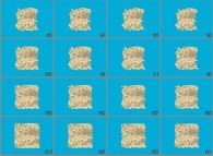 Erosion of a bidimensional random (with small and large scale correlations)island 