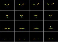 Electron-positron scattering 