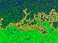 Fractal diffusion front in a bidimensional medium obtained by means of a random walk process 