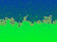 Fractal diffusion front in a bidimensional medium obtained by means of a random walk process 