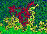 Le phénomène 'île-presqu'île' du front fractal de diffusion dans un milieu bidimensionnel obtenu grâce à un processus de marche aléatoire 
