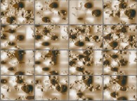 Periodical earthquake with multifractal mountains (bird's-eye view)