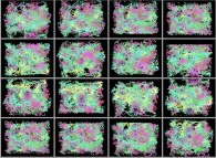 Rotation of a static tridimensional fractal structure 