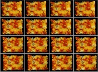 A set of 4x3 stereograms of a tridimensional fractal structure 