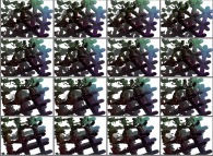 A set of 4x3 stereograms of a tridimensional interpolation between a fractal structure and a cubic mesh 