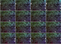 A set of 4x3 stereograms of a tridimensional fractal structure -the space-time foam?- 