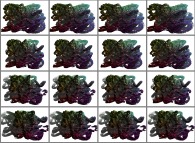 A set of 4x3 stereograms of a tridimensional filamentous fractal structure 