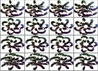 A set of 4x3 stereograms of a fractal 7-foil torus knot 