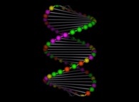 Un morceau de la double hélice d'ADN -un hommage à Francis Crick, Rosalind Franklin et James Watson- 