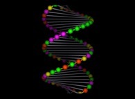 Un morceau de la double hélice d'ADN -un hommage à Francis Crick, Rosalind Franklin et James Watson- 