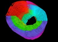 A Jeener-Möbius Tridimensional manifold described by means of an 'open' 3-foil torus knot -iteration 4- 