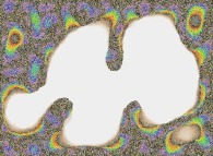 Time-integration of the bidimensional Ising Model with 2-state spins, temperature=0.2 and random initial conditions 