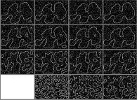 The bidimensional Ising Model with 2-state spins, temperature=0.2 and random initial conditions -display of tilting sites only- 