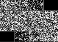 Bidimensional cross-sections inside the tridimensional Ising Model with 2-state spins, temperature=0.1 and random initial conditions 