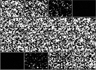 Bidimensional cross-sections inside the tridimensional Ising Model with 2-state spins, temperature=0.4 and random initial conditions 