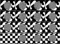 The bidimensional Ising Model with 2-state spins, a centred gaussian temperature field (minimum=0.035,maximum=0.6)and regular initial conditions (a chessboard) 