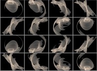 2.pi rotation about the Y axis of a quaternionic Julia set -tridimensional cross-sections- 