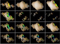 Some quaternionic Julia sets computed in the neighbourhood of A=(-0.58...,+0.63...,0,0)-tridimensional cross-sections- 