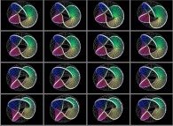 Rotation about the Y (vertical)axis of the 3-foil torus knot on its torus, that can also be viewed as a set of 4x3 stereograms 