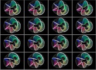 Rotation about the Y (vertical)axis of the 5-foil torus knot on its torus, that can also be viewed as a set of 4x3 stereograms 