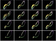 The Lorenz attractor -sensitivity to initial conditions (displayed as the central point of each frame)- 