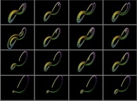 The Lorenz attractor -sensitivity to initial conditions (displayed as the central point of each frame)- 