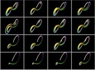 The Lorenz attractor -sensitivity to initial conditions (displayed as the central point of each frame)- 