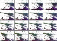 A set of 4x3 stereograms of a tridimensional visualization of the Verhulst dynamics 