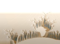 Tridimensional visualization of the Mandelbrot set 
