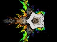 A pseudo-quaternionic Mandelbrot set (a 'MandelBulb')-tridimensional cross-section- 