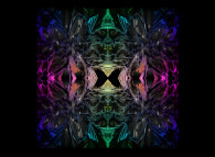 Untitled 0279 