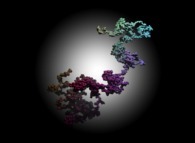 The 146.363 first digits -base 6- of the Champernowne number (=0.1 2 3 4 5 6 7 8 9 10 11 12...)-using all base 10 integer numbers- displayed as an 'absolute' tridimensional random walk 