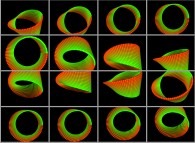 The Möbius strip 