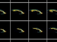 N-body problem integration (N=10)displaying the actual Solar System during one plutonian year -Pluto point of view- 