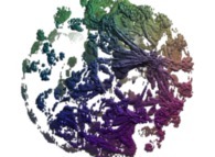 A pseudo-quaternionic Julia set ('MandelBulb' like: a 'JuliaBulb')computed with A=(-0.58...,+0.63...,0,0) -tridimensional cross-section- 