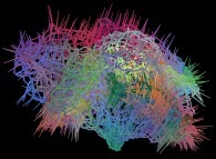 The normal field of a fractal surface defined by means of three bidimensional fields 