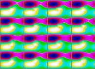 The set of bidimensional fields defining the 'Z' coordinate of a dynamic 'crumpled' Klein bottle 