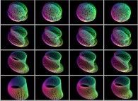 An interpolation between the Möbius strip and a 'double sphere' defined by means of three sets of bidimensional fields 